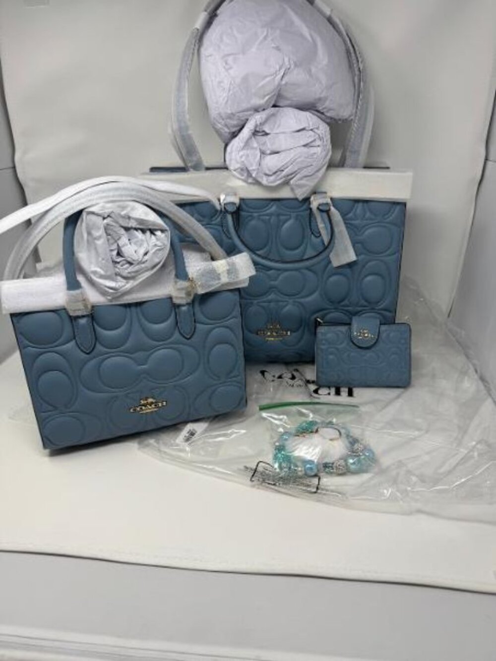 Coach LG and SM Blue Maggie Tote with Wallet NWT & unbranded charm